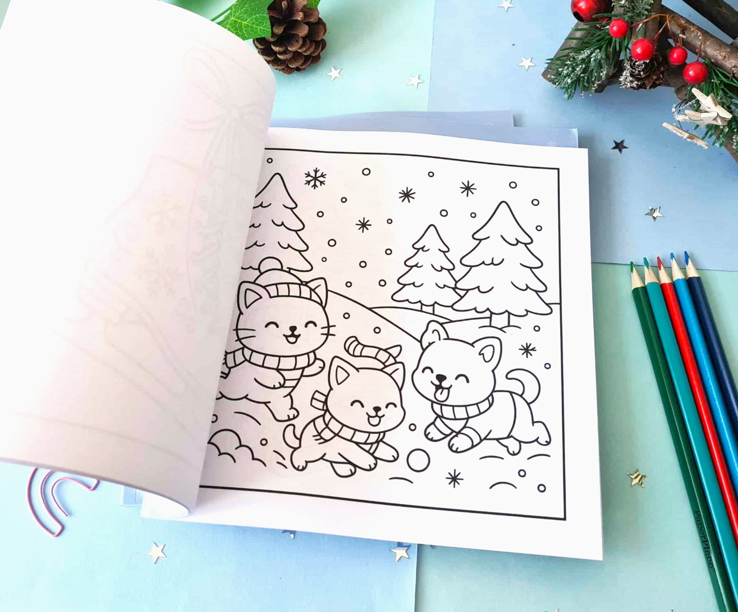 Snowy Wonder Colouring Book