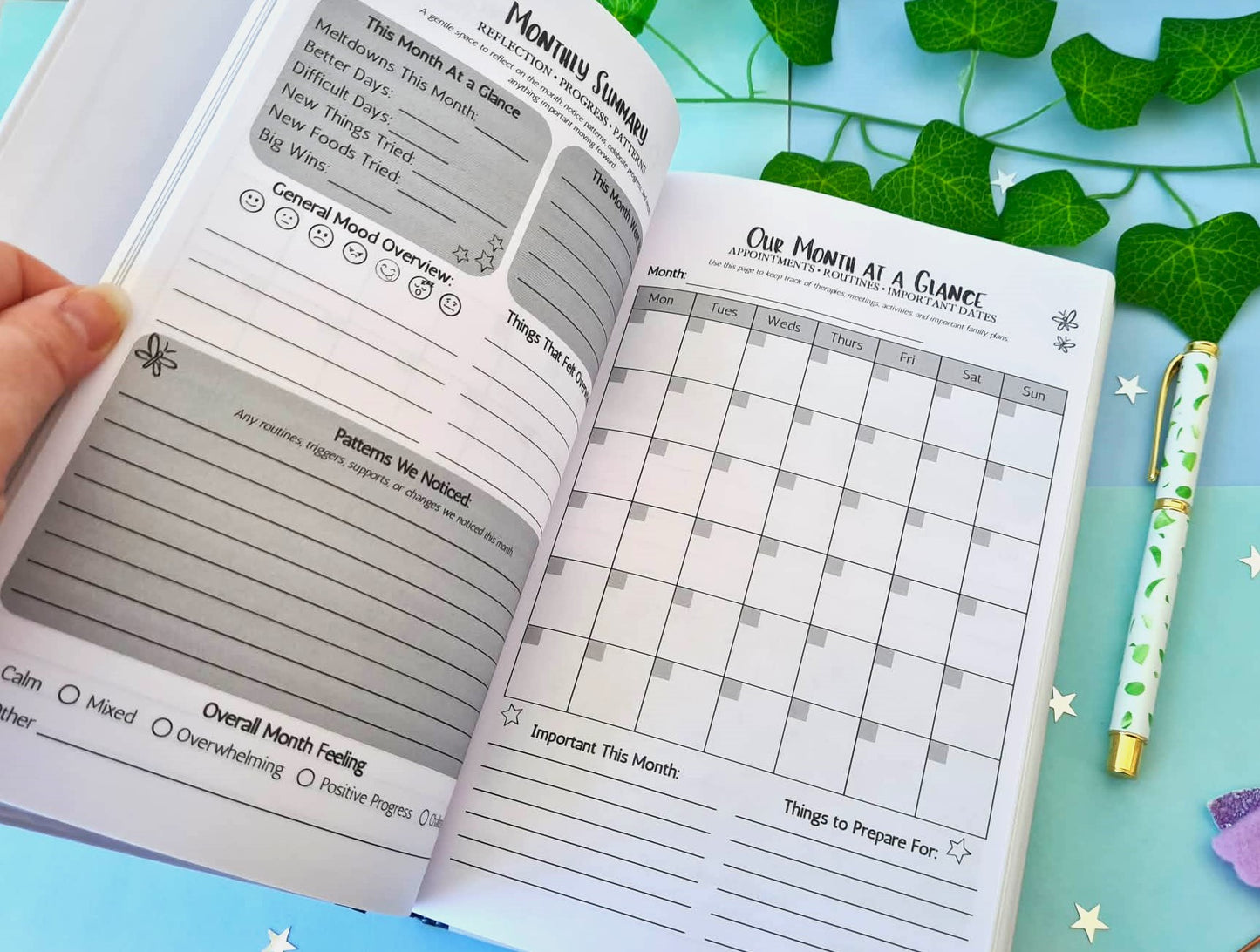 SEN Parent Support Planner