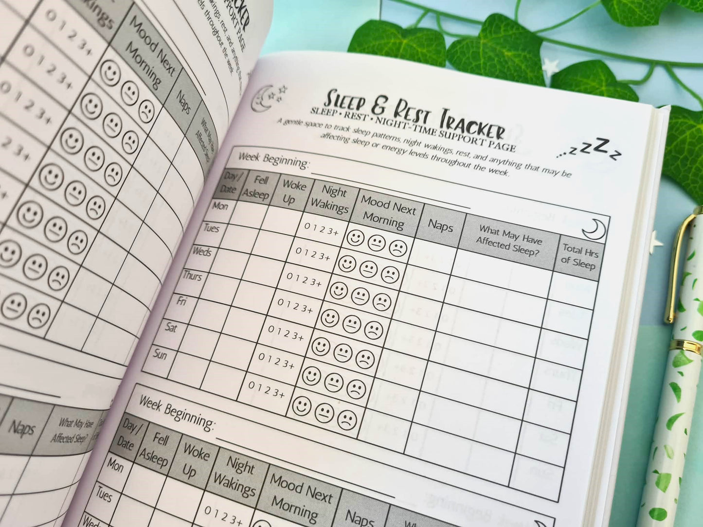 SEN Parent Support Planner
