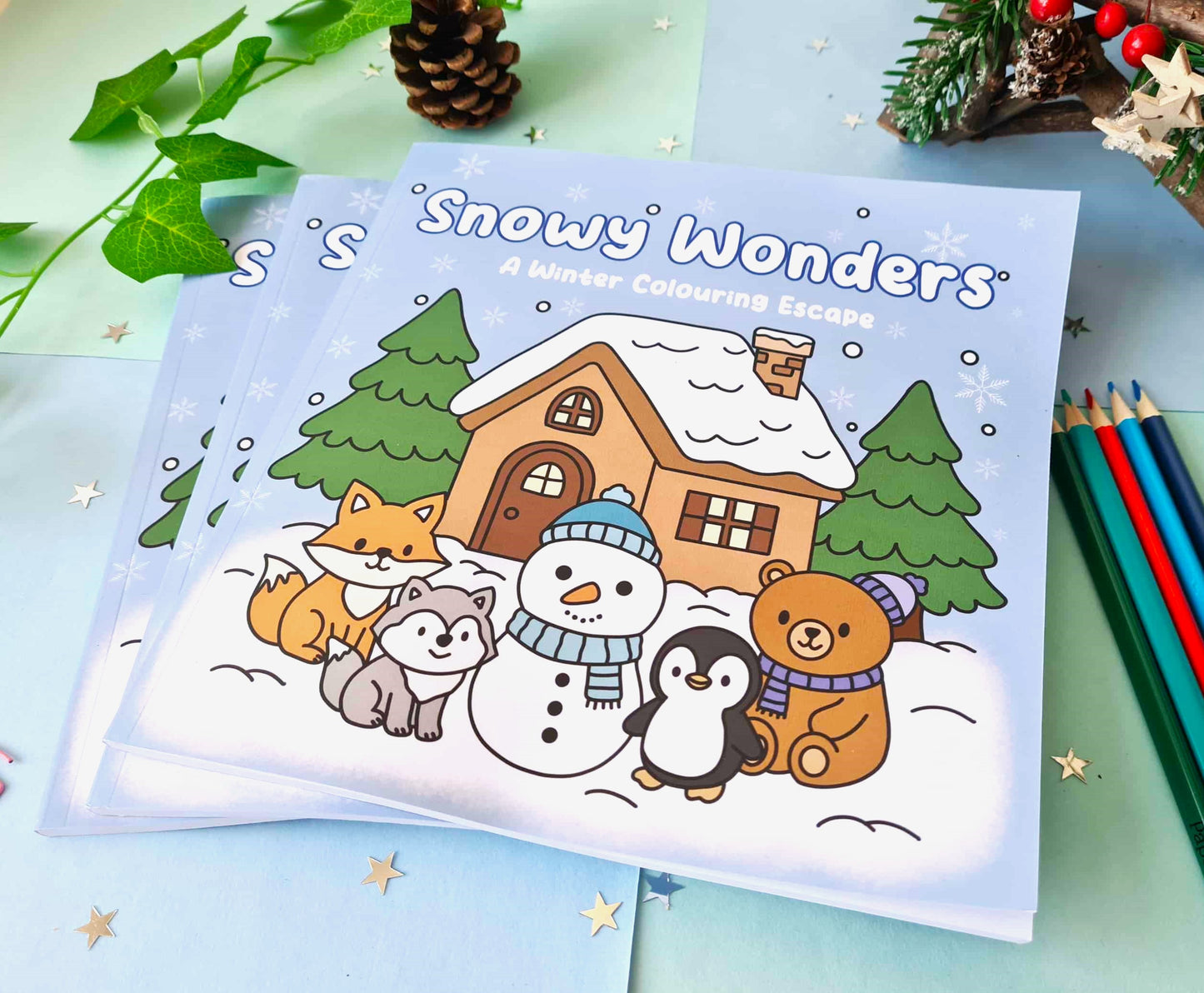 Snowy Wonder Colouring Book
